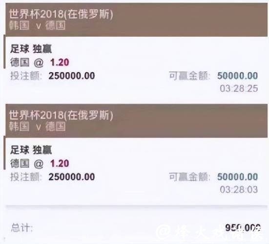 全面解析：世界杯买球平台的安全性与风险因素